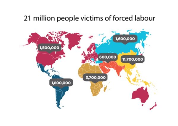 Free Modern Slavery Audit Assessment Tool - Image 3